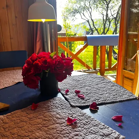 民宿 Dom Ponad Wsia