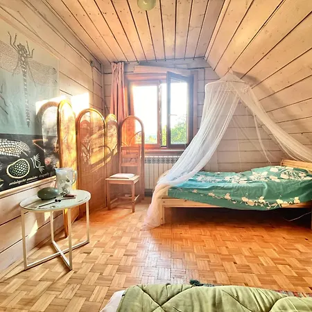 民宿 Dom Ponad Wsia